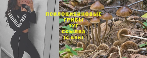 ALPHA PVP Балабаново